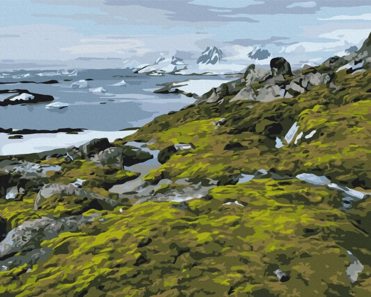 Картина за номерами Зелена Антарктика © Дмитро Мартиненко  Brushme 40x50