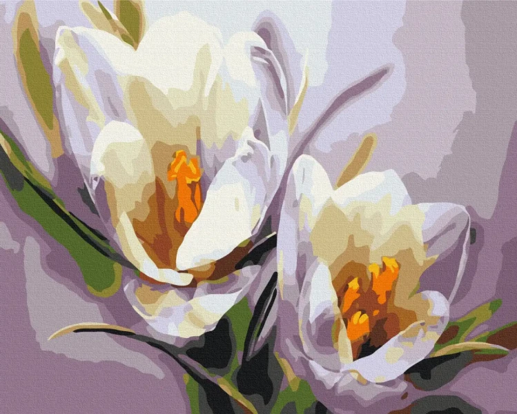 Картина за номерами Крокуси  Brushme 48x60