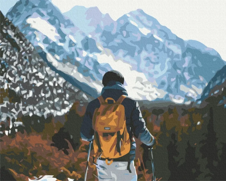 Преміум картина за номерами Мандрівник в горах Brushme 40x50
