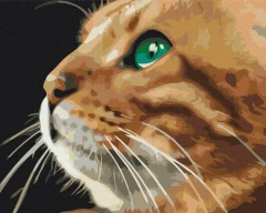 Картина за номерами Погляд рижулі  Brushme 48x60