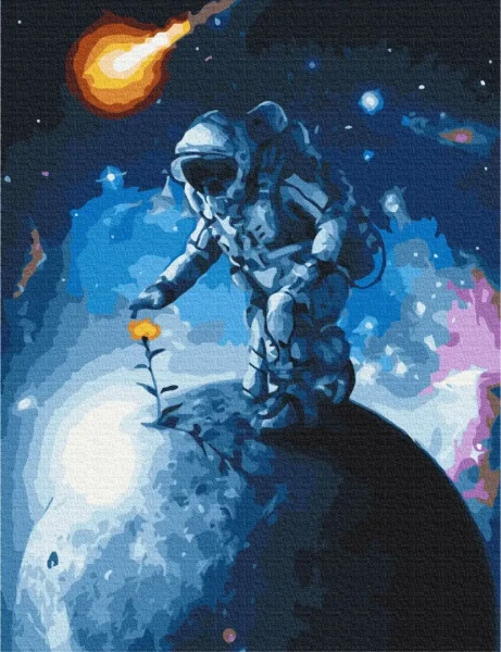 Картина за номерами Квіти Всесвіту  Brushme 40x50