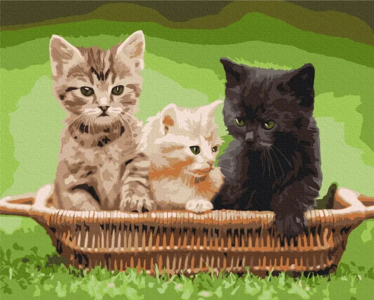 Картина по номерам Котята в корзине Brushme 48x60