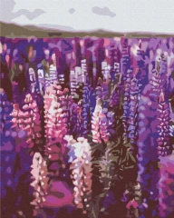 Преміум картина за номерами Лаванда Brushme 40x50