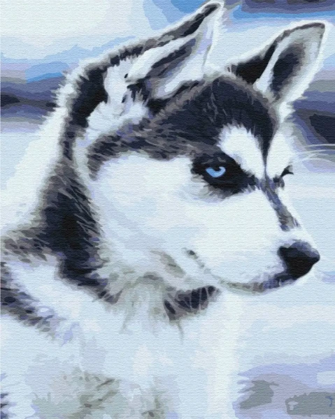 Картина за номерами Щеня Хаскі  Brushme 48x60