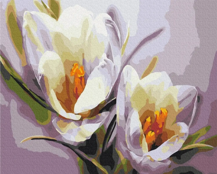 Картина за номерами Крокуси  Brushme 40x50