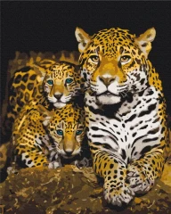 Картина по номерам Ночные леопарды Brushme 48x60