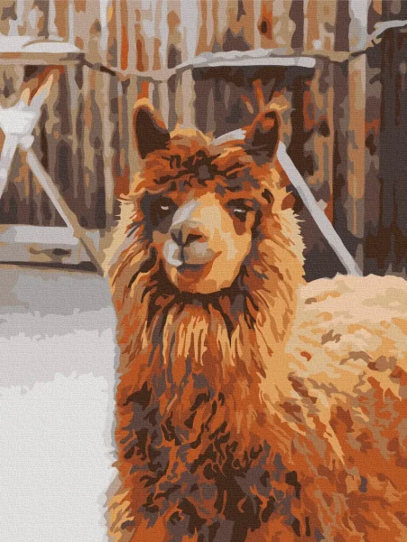 Картина по номерам Лама на ферме Brushme 30x40