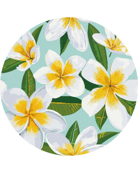 Картина по номерам круглая Плюмерия (Размер L) 40 х 40 Brushme