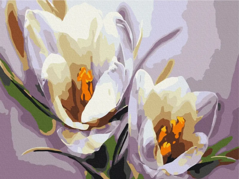 Картина по номерам Крокусы Brushme 30x40