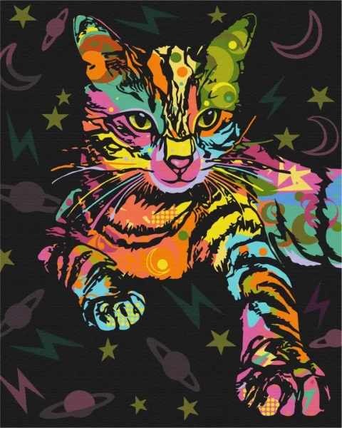 Картина за номерами Космічний кіт  Brushme 40x50