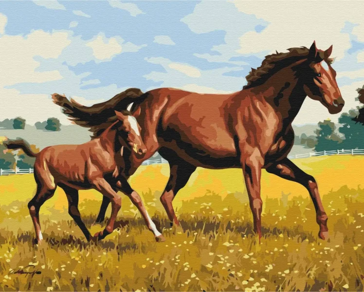 Картина за номерами Сімейний галоп  Brushme 40x50