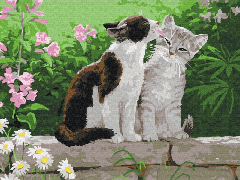 Картина за номерами Пара кошенят 40x50 Brushme