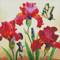 Алмазна мозаїка/вишивка Іриси з голограмними стразами 40x40 Ideyka