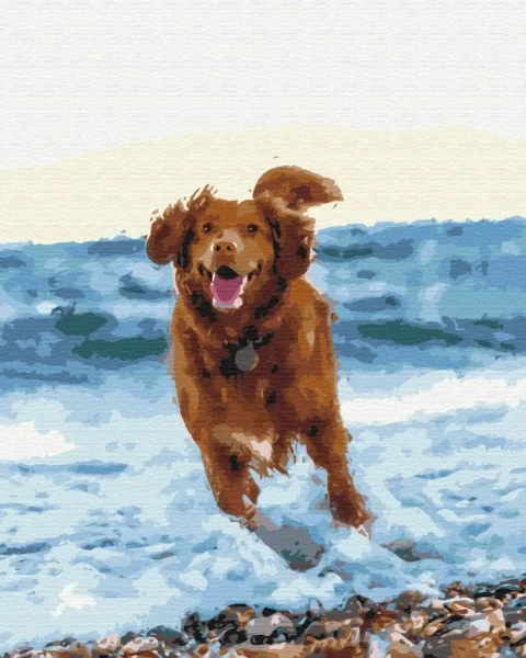 Картина за номерами Собачка в морі  Brushme 40x50