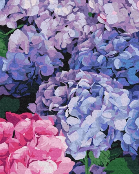 Картина по номерам Яркая гортензия 40x50 Brushme