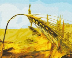 Картина за номерами Житній колос  Brushme 40x50