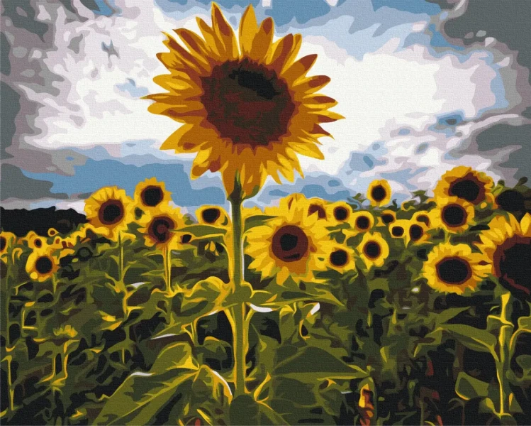Картина по номерам Уличка в цветах Brushme 48x60