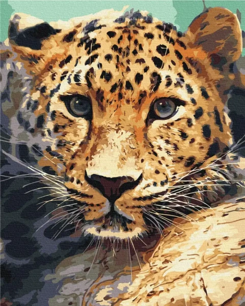 Картина по номерам Портрет леопарда Brushme 48x60