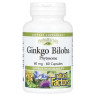 Фитосомы гинкго двулопастного (Ginkgo Biloba) 60 мг 60 капсул