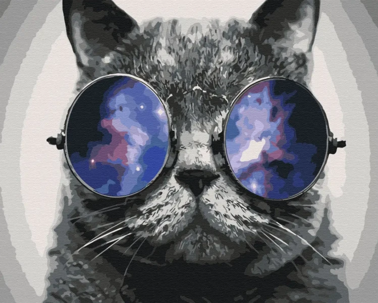 Картина за номерами Котик на Маямі  Brushme 40x50