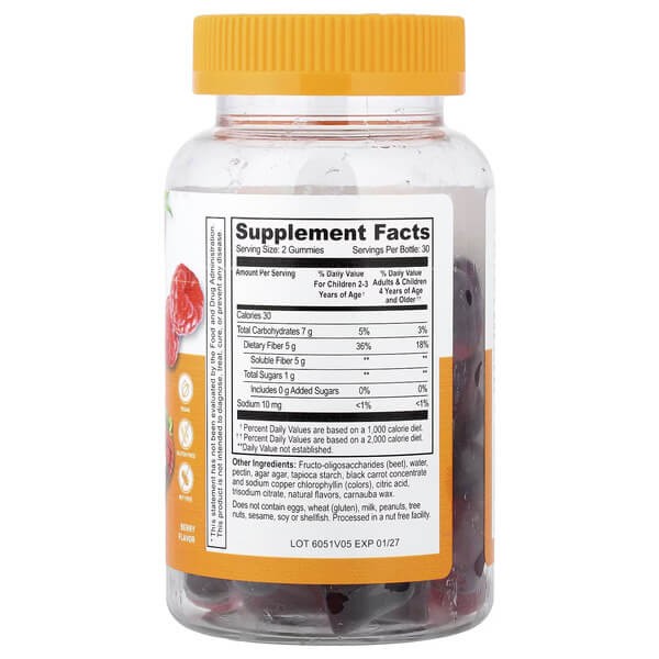 Пребіотична клітковина для дітей Lifeable (Kids Prebiotic Fiber Gummies) 60 жувальних цукерок зі смаком ягоди