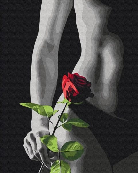 Картина за номерами Елегантний акцент 40x50 Brushme