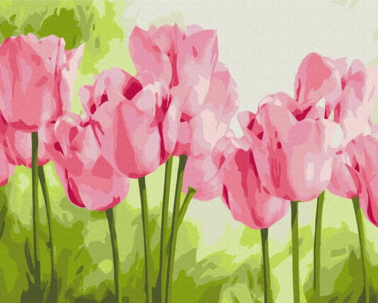 Картина за номерами Ніжні тюльпани  Brushme 40x50