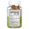 Куркума з імбиром і чорним перцем 60 жувальних цукерок зі смаком Lifeable (Kids Turmeric Curcumin with Ginger & Black Pepper)