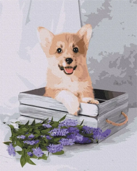 Картина за номерами Грайливий коргі  Brushme 40x50