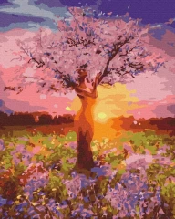 Преміум картина за номерами Одухотворення Brushme 40x50