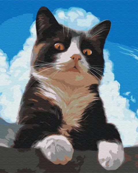 Картина по номерам Любознательный котик Brushme 40x50